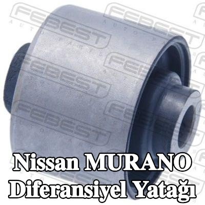 FEBEST Diferansiyel yatağı — Nissan Murano