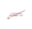 FAST Enjektör kelepçe cıvatası — Citroën Relay (2)
