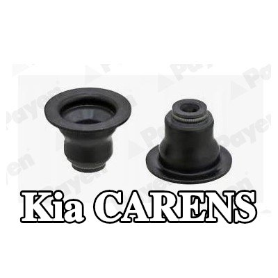 PAYEN حشية صمام — Kia Carens