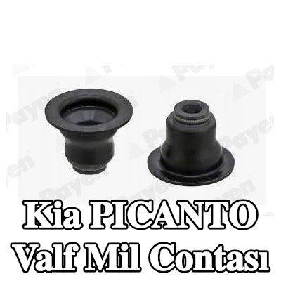 PAYEN Valf mil contası — 2005 Kia Picanto