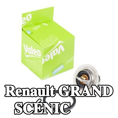 VALEO ثرموستات 89°C, مع حشيات/مانعات تسرب — 2004 Renault Grand Scénic