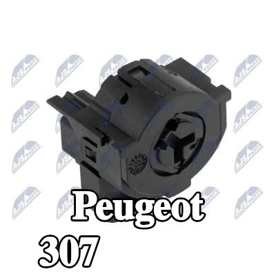NTY مفتاح الإشعال — Peugeot 307