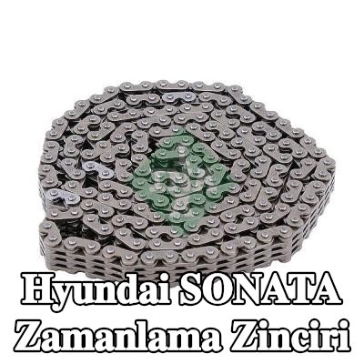 INA Zamanlama zinciri — 2008 Hyundai Sonata