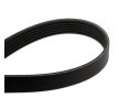 GATES V-Ribbed Kayış Seti Micro-V Kiti, Micro-V® Stretch Fit™ — Citroën Relay (5)