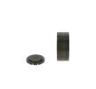 BOSCH Saptırma / kılavuz kasnağı, V-ribbed belt Ø: 70mm — SEAT Exeo (2)