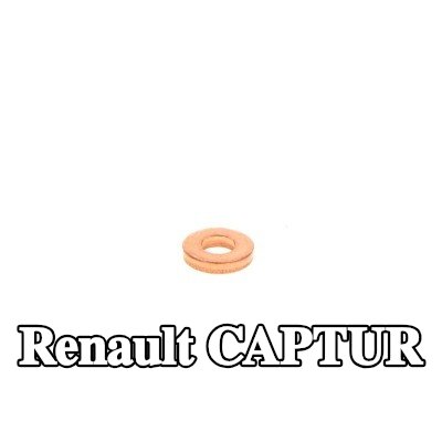 BOSCH حلقة مانعة للتسرب، حامل الفوهة — Renault Captur