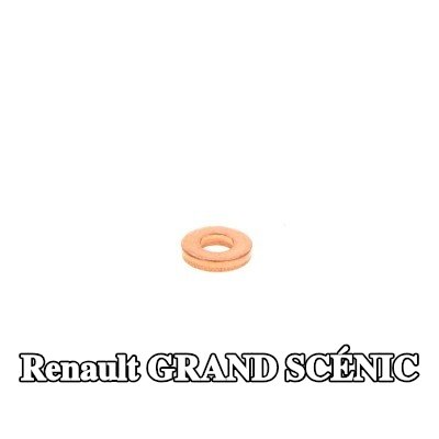 BOSCH حلقة مانعة للتسرب، حامل الفوهة — Renault Grand Scénic