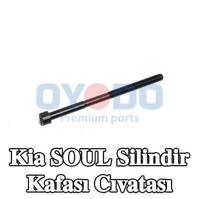 Oyodo Silindir Kafası Cıvatası — 2012 Kia Soul