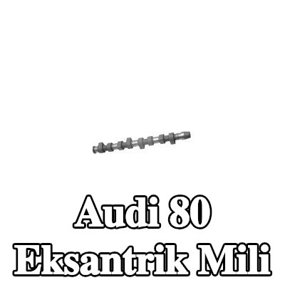 FEBI BILSTEIN Eksantrik Mili — 1992 Audi 80