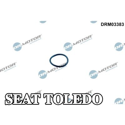 DR.MOTOR AUTOMOTIVE حلقة مانعة للتسرب، شداد سلسلة التوقيت — SEAT Toledo