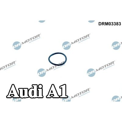 DR.MOTOR AUTOMOTIVE حلقة مانعة للتسرب، شداد سلسلة التوقيت — Audi A1