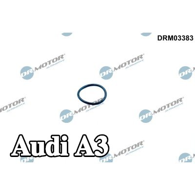 DR.MOTOR AUTOMOTIVE حلقة مانعة للتسرب، شداد سلسلة التوقيت — Audi A3