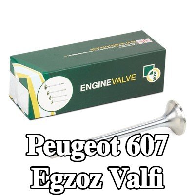 BGA Egzoz valfi — 2008 Peugeot 607