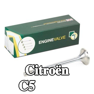 BGA صمام العادم — Citroën C5