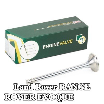 BGA صمام العادم — Land Rover Range Rover Evoque