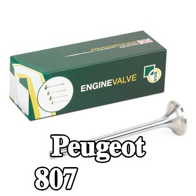 BGA صمام العادم — Peugeot 807