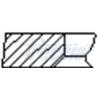 FRECCIA Piston Segman Kiti — 2011 Peugeot 408 (1)