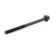 REINZ Cıvata Kiti, silindir kafası M10, 145mm — Land Rover Discovery (4)