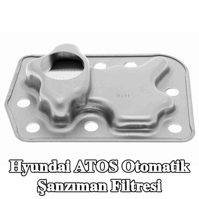 VAICO Otomatik şanzıman filtresi — Hyundai Atos