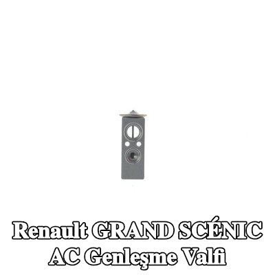 MAHLE AC genleşme valfi — 2012 Renault Grand Scénic