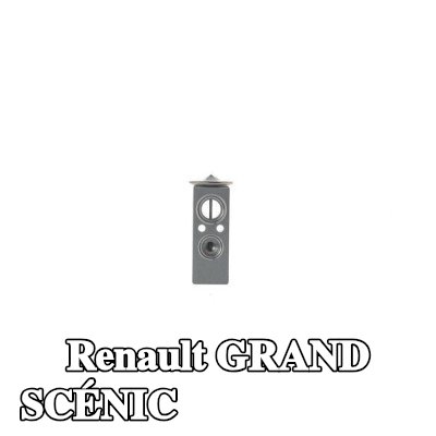 MAHLE صمام تمدد تكييف الهواء — 2012 Renault Grand Scénic