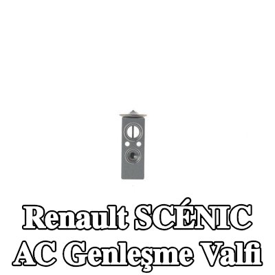 MAHLE AC genleşme valfi — 2012 Renault Scénic
