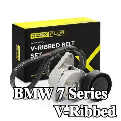RIDEX PLUS مجموعة أحزمة V-Ribbed — 2000 BMW 7 Series