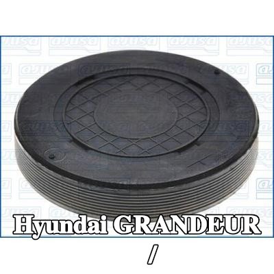 AJUSA حشية / مانع تسرب — 2009 Hyundai Grandeur