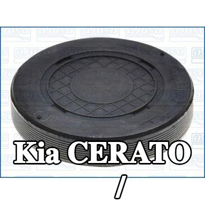 AJUSA حشية / مانع تسرب — 2004 Kia Cerato