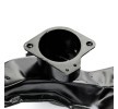 RIDEX Destek Çerçevesi, motor taşıyıcı Alt — Volkswagen Jetta (4)