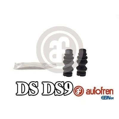 AUTOFREN SEINSA منفاخ، دليل مقياس المكابح — DS Ds9