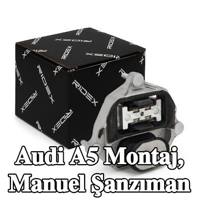 RIDEX Montaj, manuel şanzıman orta, Arka — 2012 Audi A5