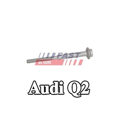 FAST برغي مشبك الحاقن — 2016 Audi Q2
