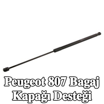 FEBI BILSTEIN Bagaj kapağı amortisörü (Her iki taraf), 633mm — Peugeot 807