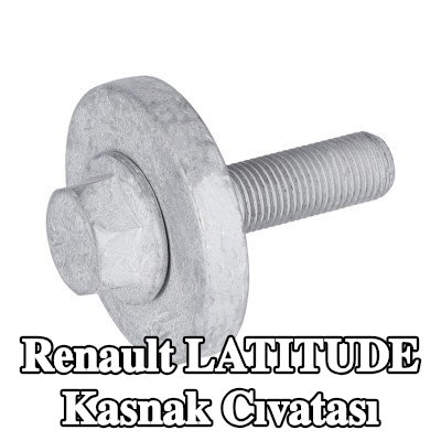 FEBI BILSTEIN Kasnak Cıvatası — Renault Latitude
