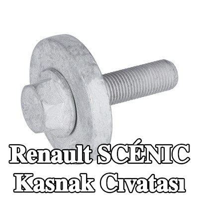 FEBI BILSTEIN Kasnak Cıvatası — 2012 Renault Scénic
