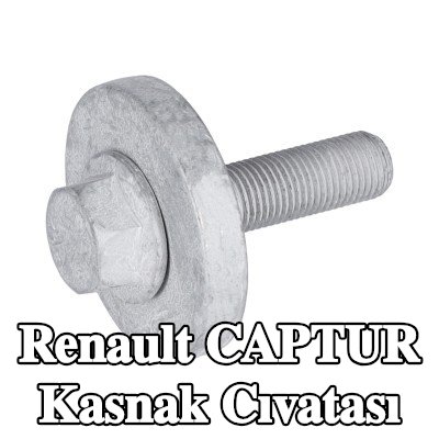 FEBI BILSTEIN Kasnak Cıvatası — 2016 Renault Captur