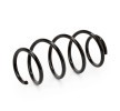 SACHS Helezon yay — SEAT Ateca (2)