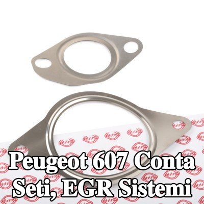 ELRING Conta seti, EGR sistemi — Peugeot 607