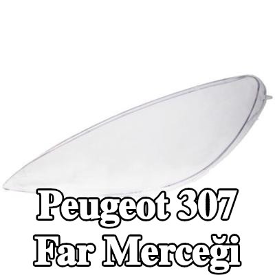 BLIC Far camı Sol — 2002 Peugeot 307
