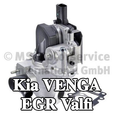 PIERBURG Contalı/sızdırmazlık elemanlı EGR valfi — Kia Venga