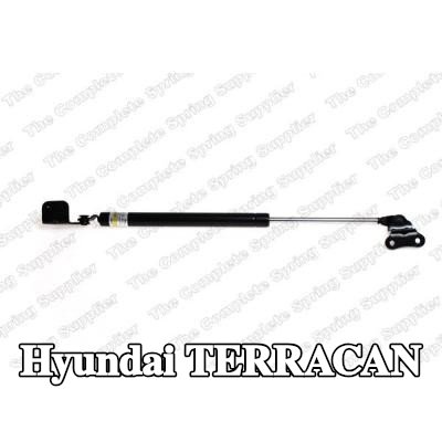 LESJÖFORS دعامة غطاء المحرك المحور الأمامي الأيسر, يسار — Hyundai Terracan