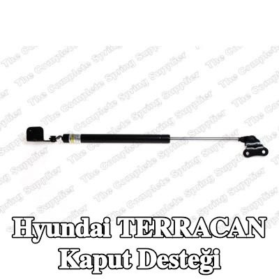 LESJÖFORS Kaput destek çubuğu Ön Aks Sol, Sol — Hyundai Terracan