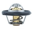 MOTORAD Termostat 54°C, conta halkası ile — Ford Focus (2)