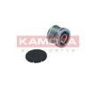 KAMOKA Alternatör debriyaj kasnağı — Renault 19 (1)