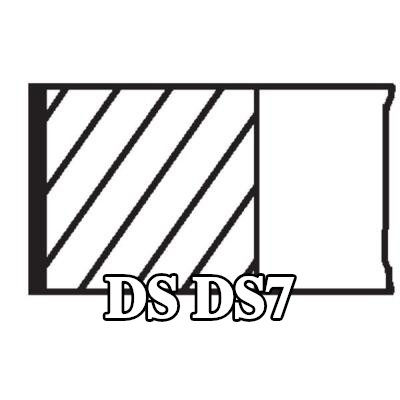 MAHLE مجموعة حلقات المكبس — 2022 DS Ds7