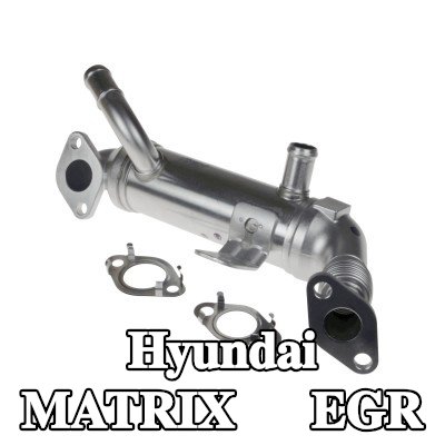 FEBI BILSTEIN مبرد EGR مع حشيات/أختام — Hyundai Matrix