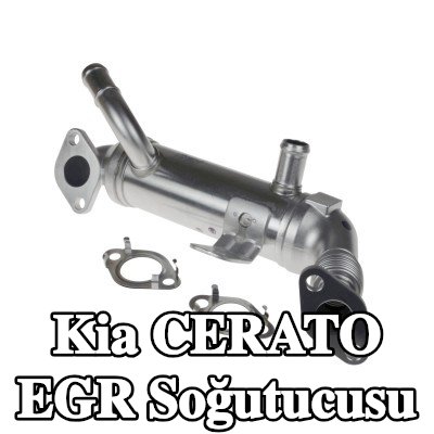 FEBI BILSTEIN Contalar/sızdırmazlık elemanları ile EGR soğutucusu — 2005 Kia Cerato