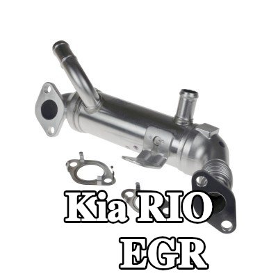 FEBI BILSTEIN مبرد EGR مع حشيات/أختام — 2011 Kia Rio