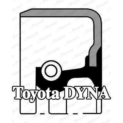 PAYEN حشية العمود، الترس التفاضلي — Toyota Dyna